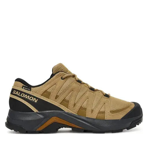 SALOMON X-Adventure Recon Gore-Tex L47813100 Brown