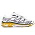 Salomon XT-6 GTX LAB Violet White