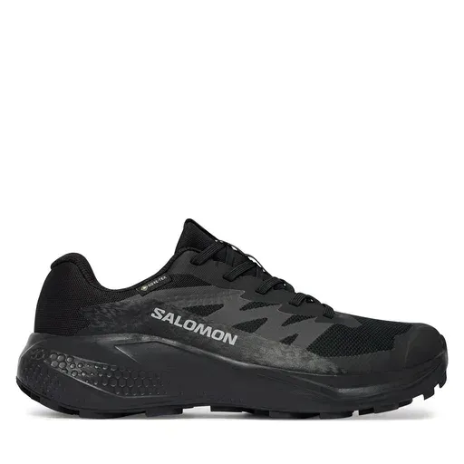 SALOMON Alphaglide Gtx W L49214400 Cиній