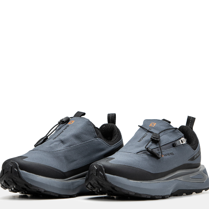 Salomon Odyssey Gore-Tex Grey