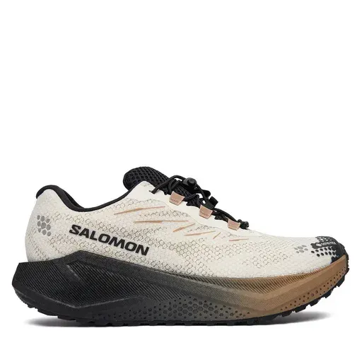 SALOMON Aero Blaze 4 gtx GORE-TEX L45403200 Beige