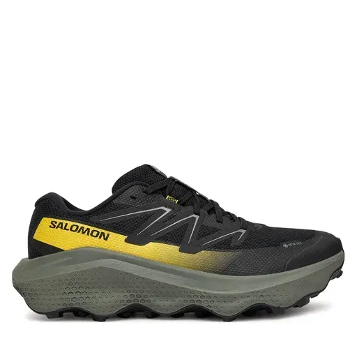 SALOMON Ultra Flow 2 Gore-Tex L47883200 Black