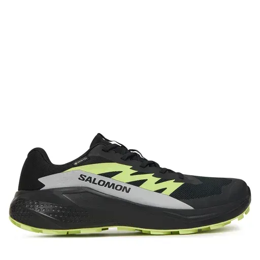 SALOMON Alphaglide GORE-TEX L47802000 Black