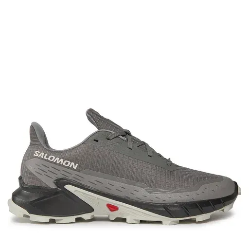 SALOMON Alphacross 5 473133 29 W0 Grey