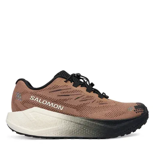 SALOMON Aero Blaze 4 L45400500 Brown