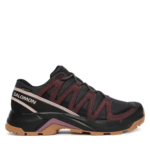 SALOMON X-Adventure Recon Gtx L49096600 Brown