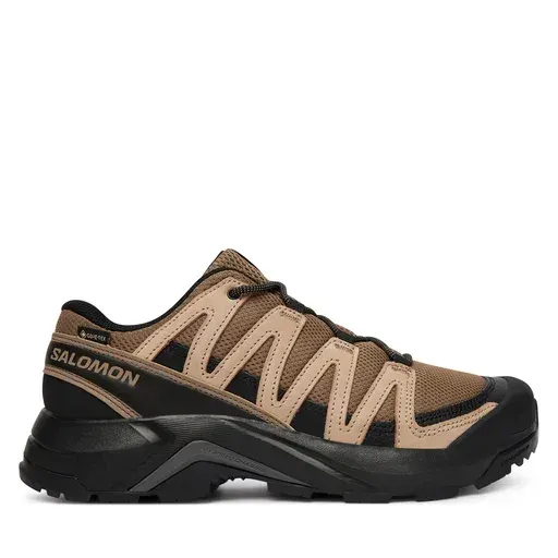 SALOMON X-Adventure Recon Gtx L49096000 Brown