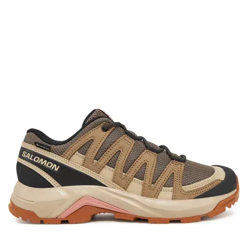 SALOMON X-Adventure Recon Gore Tex L47815500 Brown