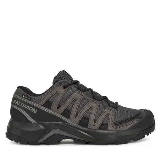 SALOMON X-Adventure Recon Gore Tex L47809200 Grey