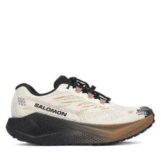 SALOMON Aero Blaze 4 gtx GORE-TEX L45403900 Beige