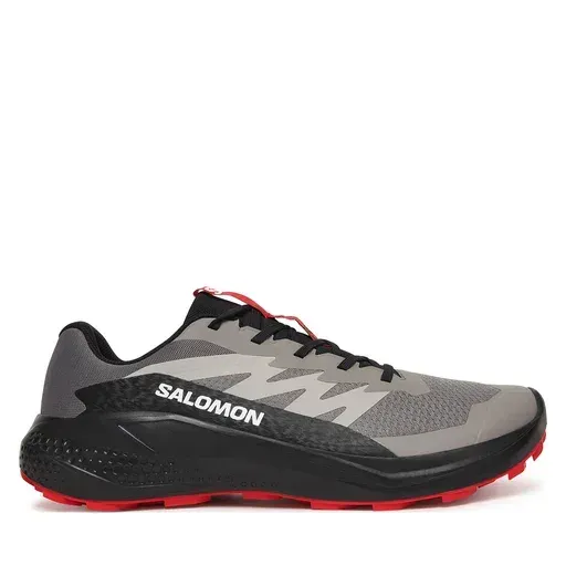 SALOMON Alphaglide L48000800 Grey