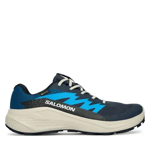 SALOMON Alphaglide Gtx  L47975100 Light Blue