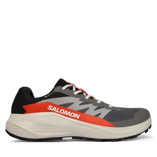 SALOMON Alphaglide Gore-Tex L47975300 Grey