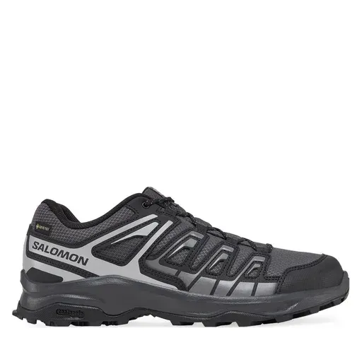 SALOMON Extegra Gore-Tex L47768800 Grey