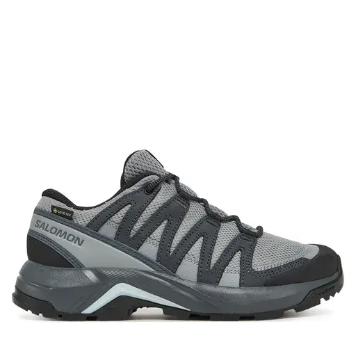 SALOMON X-Adventure Recon Gore Tex L47813300 Grey