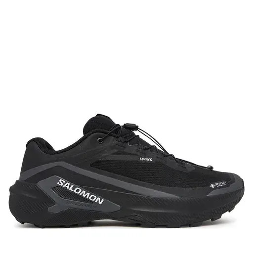 SALOMON Genesis 2 GTX L49300300 Black