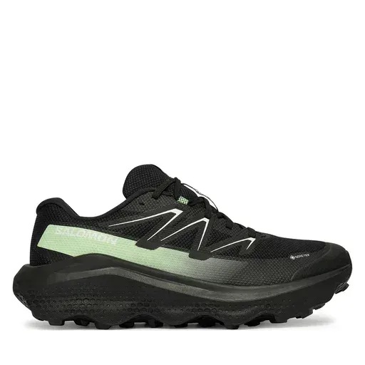 SALOMON Ultra Flow 2 Gtx L47981400 Black